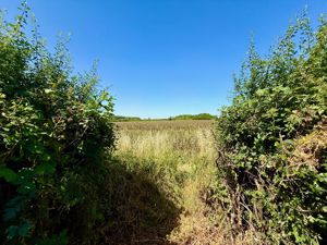 Photo 6- click for photo gallery